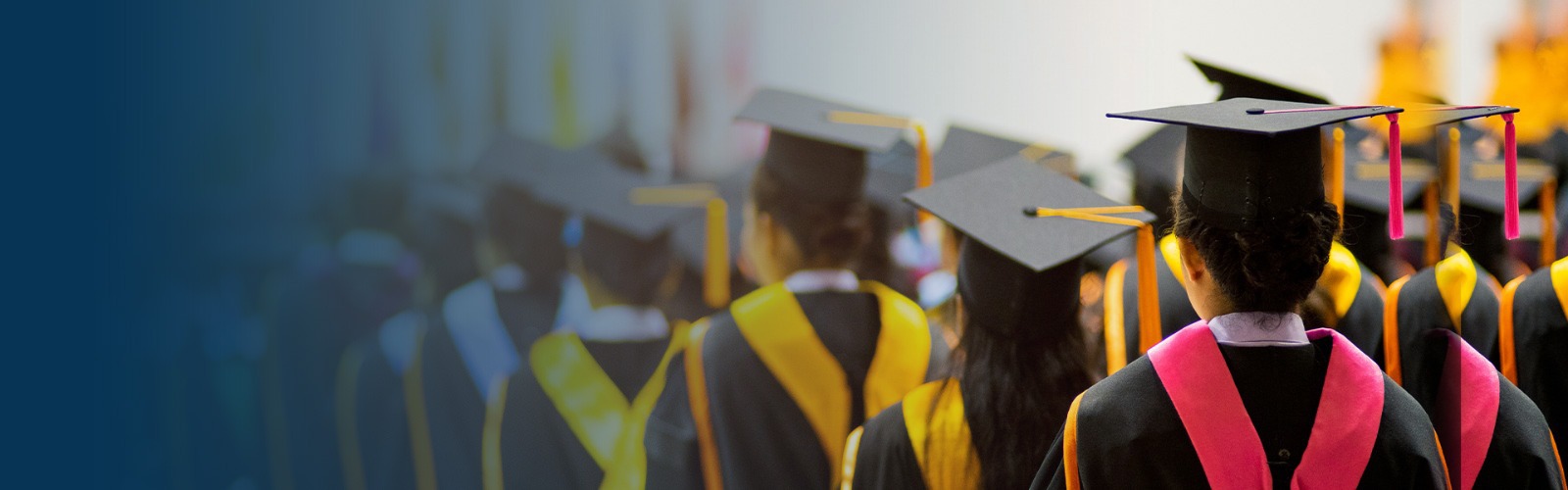 Study In Abroad Universities